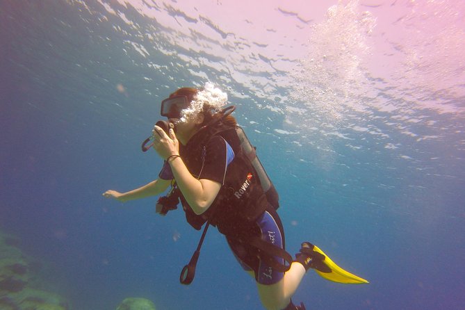 Discover Scuba Diving - The Sum Up