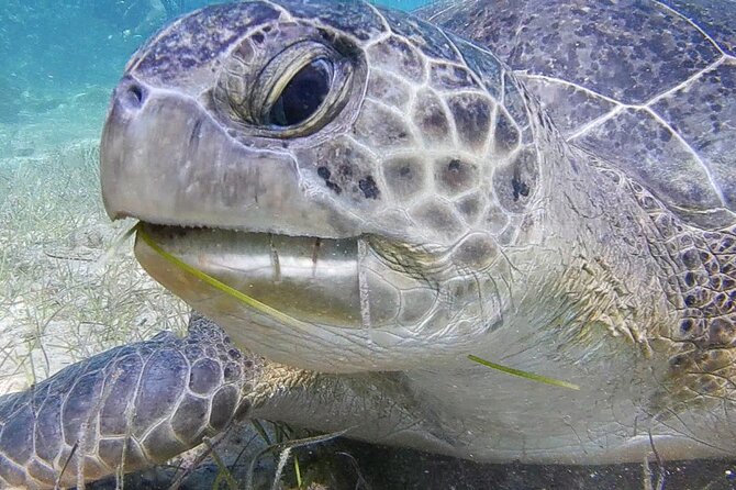 Discover Scuba Diving - What To Expect