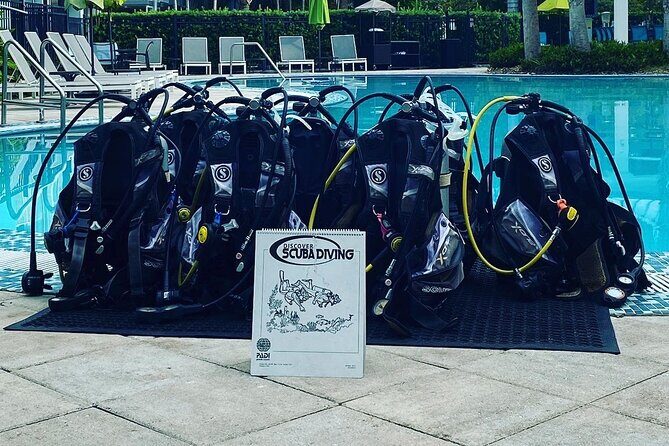 Discover Scuba Diving - Discover Scuba Diving in Key West: An Honest Look at Your First Underwater Adventure