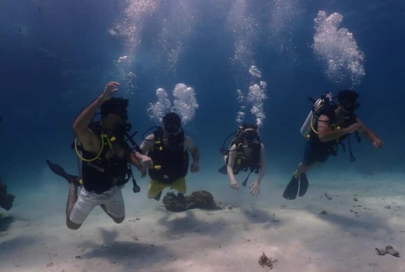 Discover Scuba diving - FAQ