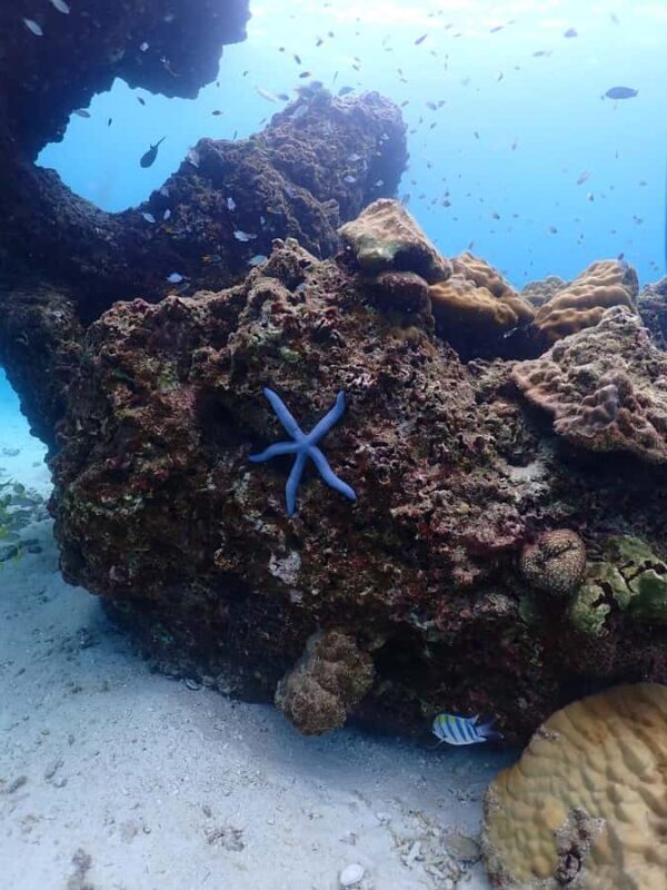 Discover Scuba diving - Good To Know