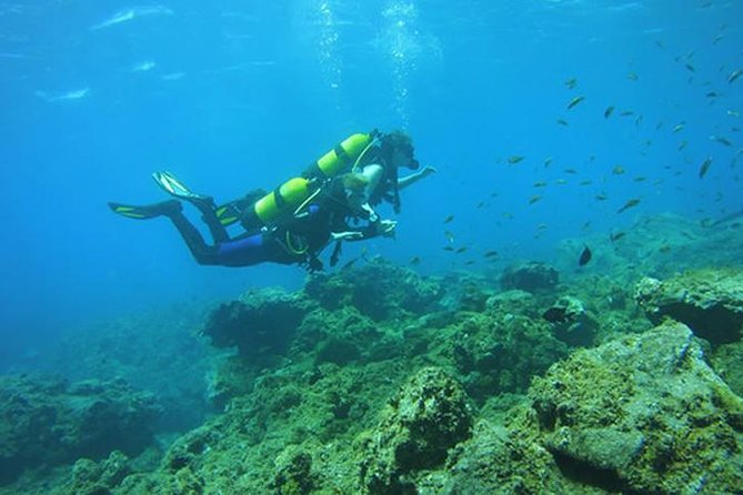 Discover Scuba Diving - Meeting and Pickup