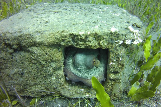 Discover Scuba Diving - What to Expect