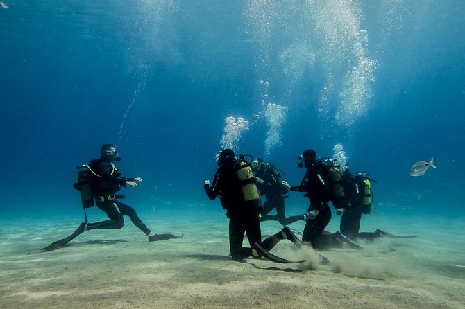 Discover Scuba Diving - Certified Instructor and Equipment Provided