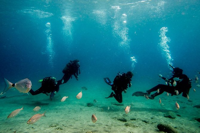 Discover Scuba Diving - Important Information and Cancellation Policy