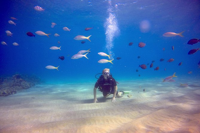 Discover Scuba Diving - Inclusions and Meeting/Pickup Information