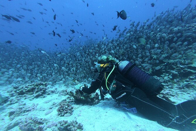 Discover Scuba Diving Adventure in Dubai With Private Transfer - Requirements and Age Restrictions