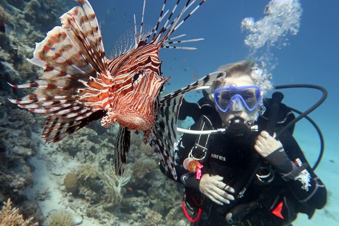 Discover Scuba Diving Adventure in Dubai With Private Transfer - Convenient Private Transfer Options