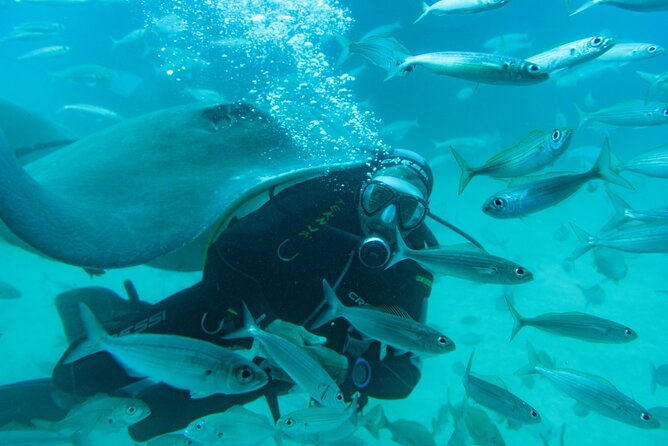 Discover Scuba Diving Adventure in Dubai With Private Transfer - Common Questions