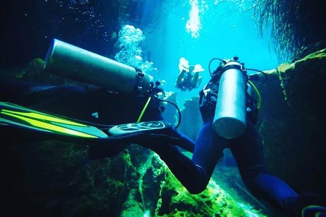 Discover Scuba Diving at Casa Cenote - Overview and Experience