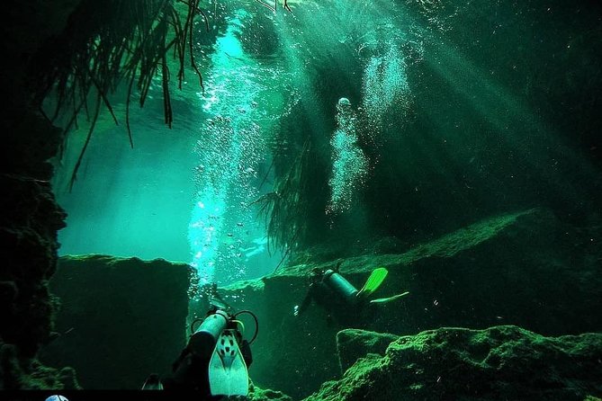 Discover Scuba Diving at Casa Cenote - Meeting and Pickup