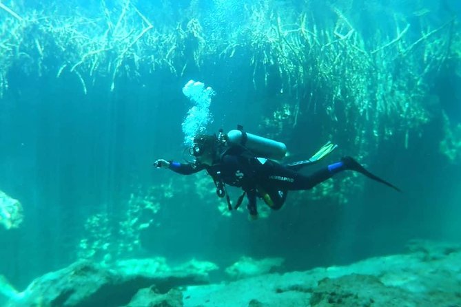 Discover Scuba Diving at Casa Cenote - The Sum Up
