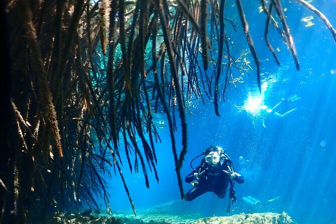 Discover Scuba Diving at Casa Cenote No Certification Needed - Good To Know