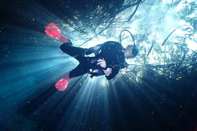 Discover Scuba Diving at Casa Cenote No Certification Needed - Why We Think It’s Worth It