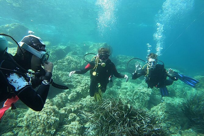 Discover Scuba Diving Baptism of the Sea in Half Day - Location: Isola Delba, Italy