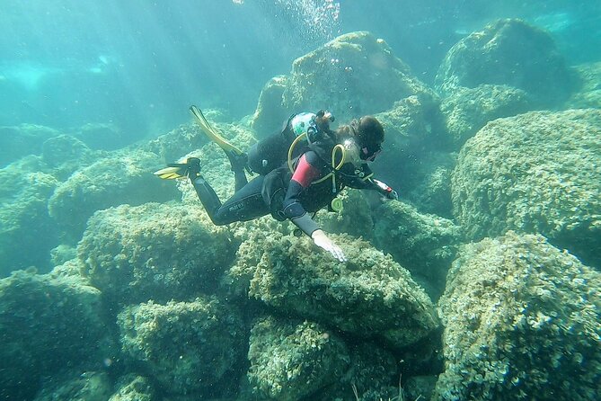 Discover Scuba Diving Baptism of the Sea in Half Day - Reviews: 4
