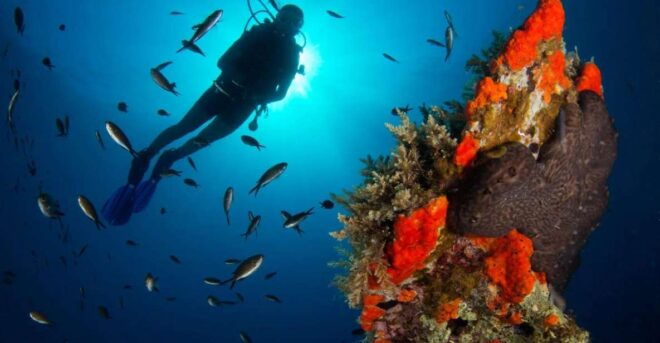 Discover Scuba Diving-Beginners-Chalkidiki-Kassandra - Restrictions and Important Guidelines