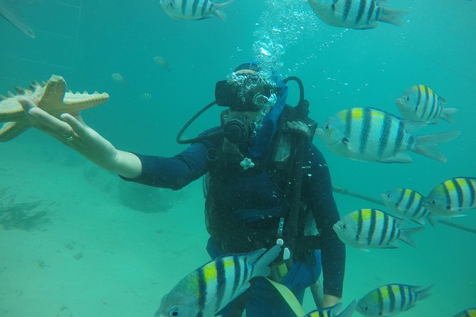 Discover Scuba Diving ( Beginners) Combined With Jet Ski - Benefits of Combining Scuba Diving and Jet Skiing