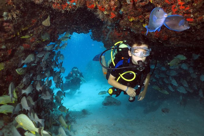 Discover Scuba Diving Course in Playa Del Carmen With Two Coral Reef Dives - Logistics