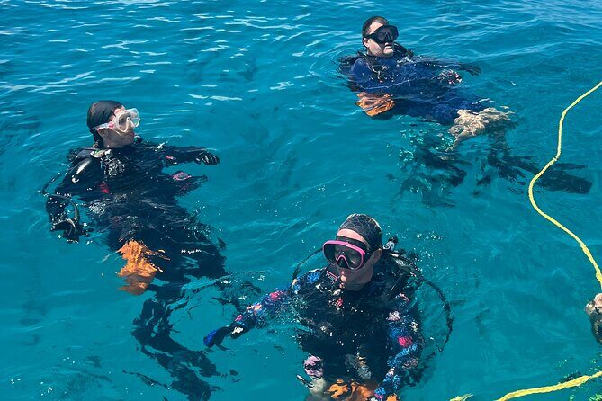 Discover Scuba Diving Course Pool Training Session in Key Largo. - Who Is This Tour Best For?
