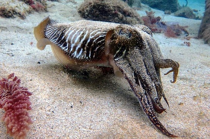 Discover Scuba Diving - What to Expect