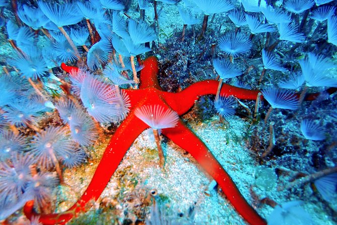 Discover Scuba Diving - Traveler Photos