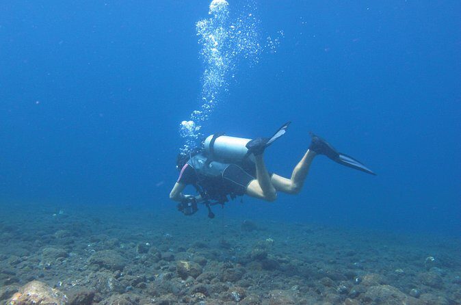 Discover Scuba Diving Day Trip in Amed and Tulamben - Who Will Love This Tour?