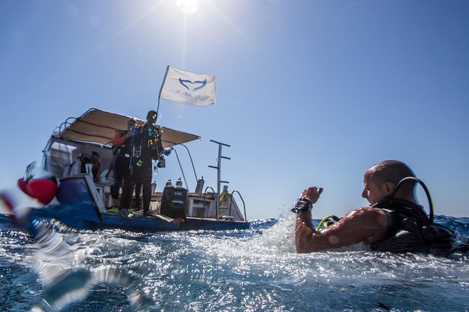 Discover Scuba Diving (Dsd Course) - Scuba World Divers - Common Questions About DSD