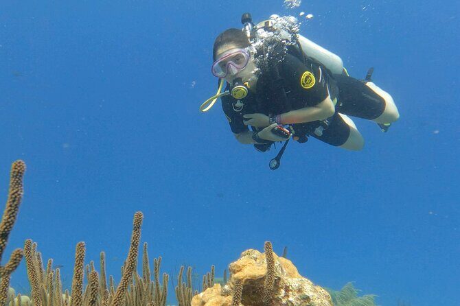 Discover Scuba Diving Experience - Price and Value