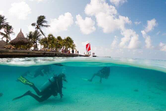 Discover Scuba Diving Experience - The Experiences Value: Is It Worth $130?