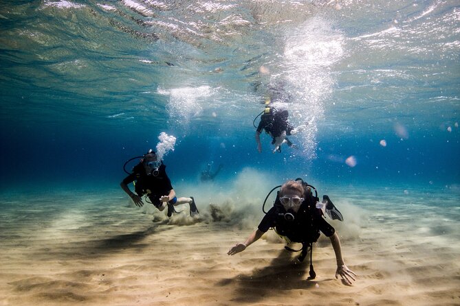 Discover Scuba Diving Experience in Andros Island! - Common Questions