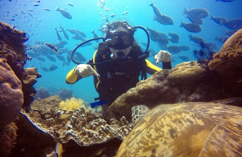 Discover Scuba Diving Experience in Semporna Island - What a first scuba outing in Semporna feels like
