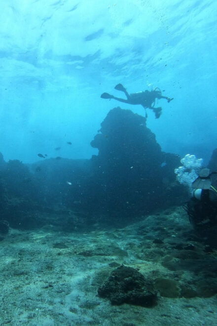 Discover Scuba Diving : Hikkaduwa : Scuba Diving - Inclusions