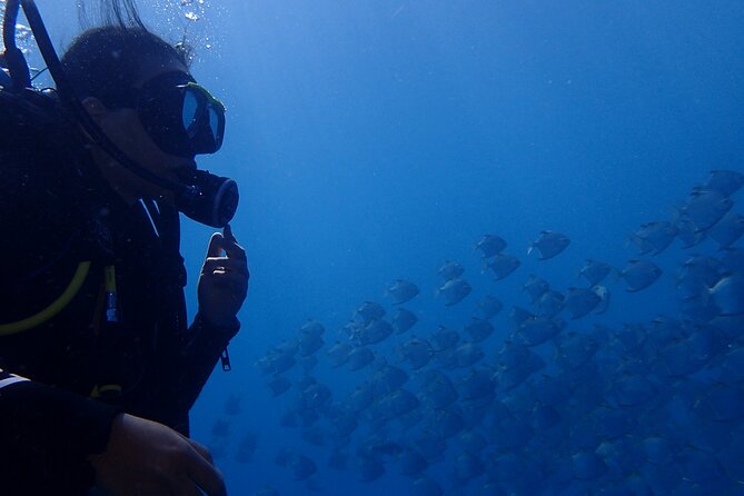 Discover Scuba Diving in Bali - Scuba Diving Spots in Bali