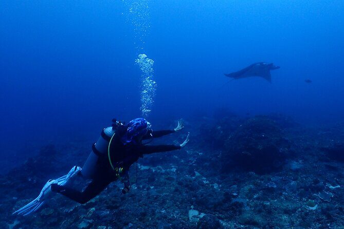 Discover Scuba Diving in Bali with photo and video - Authentic Experiences and Real Feedback