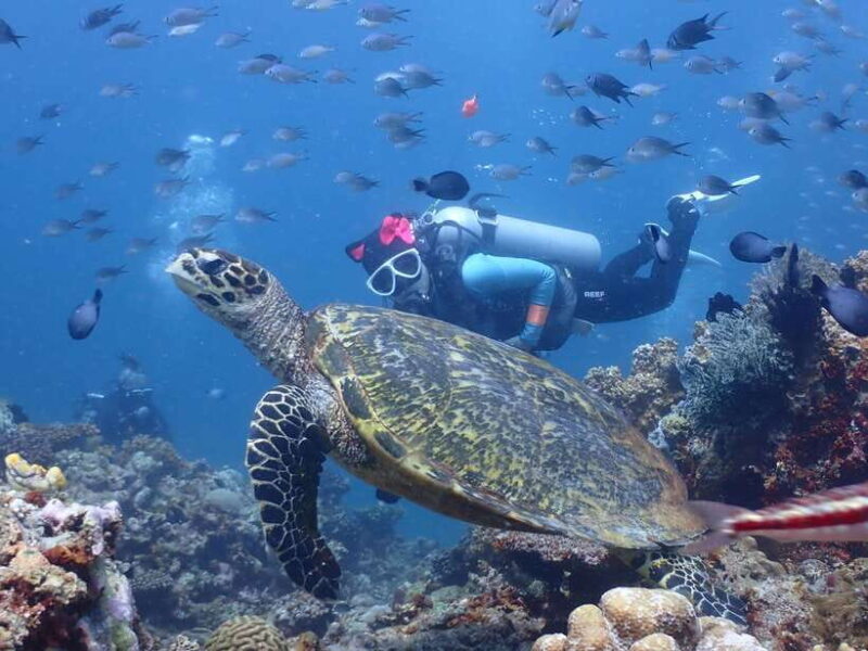 Discover Scuba Diving in Boracay - The Experience Breakdown