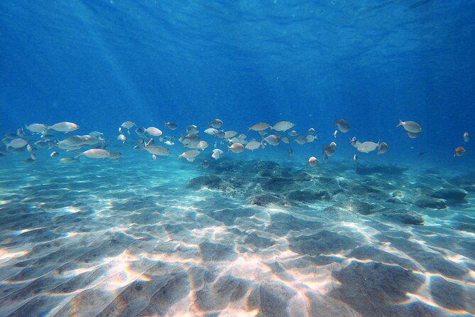 Discover Scuba Diving in Costa Calma - Scuba Diving Experience Overview