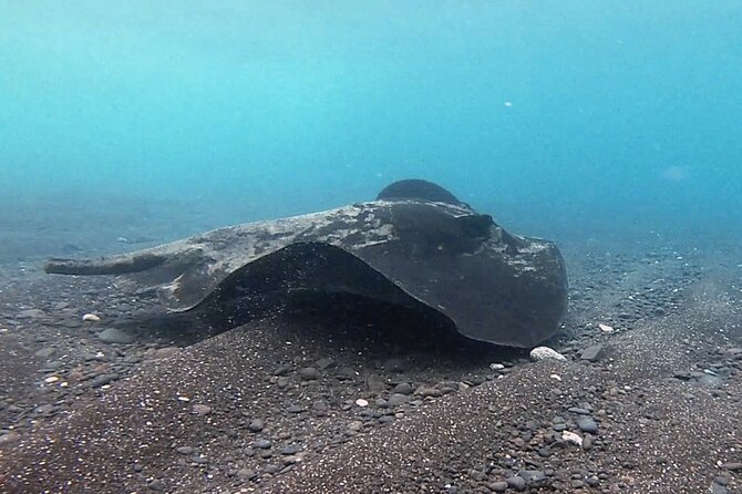 Discover Scuba Diving in Costa Calma - Requirements and Restrictions