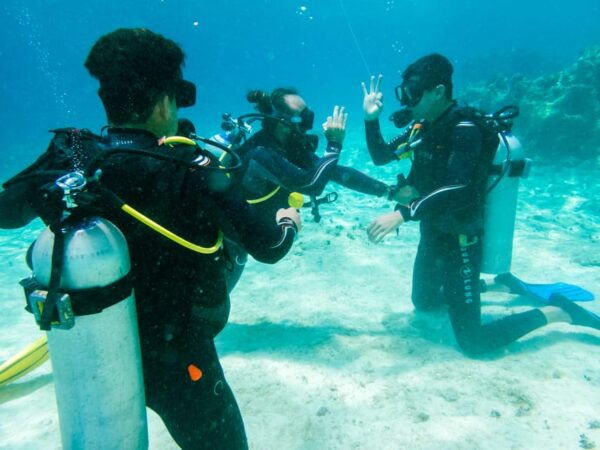 Discover Scuba Diving in Cozumel 2 Tanks - Cozumel Marine National Park