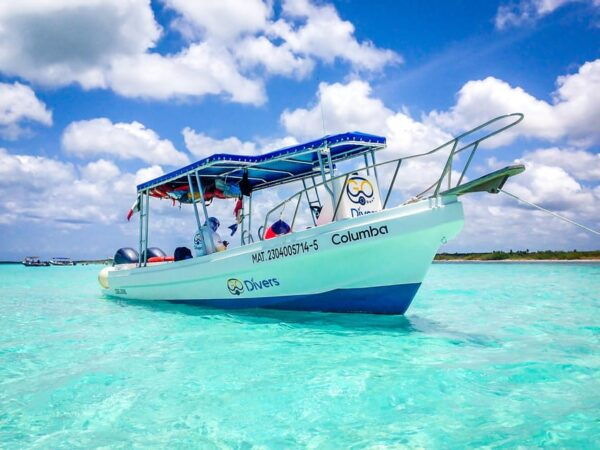 Discover Scuba Diving in Cozumel 2 Tanks - Frequently Asked Questions