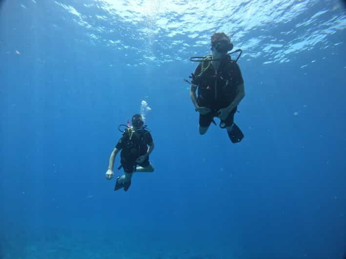 Discover Scuba Diving in Cozumel (Boat) - Good To Know