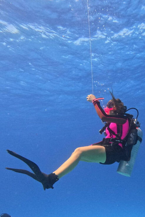 Discover Scuba Diving in Cozumel (Boat) - Itinerary