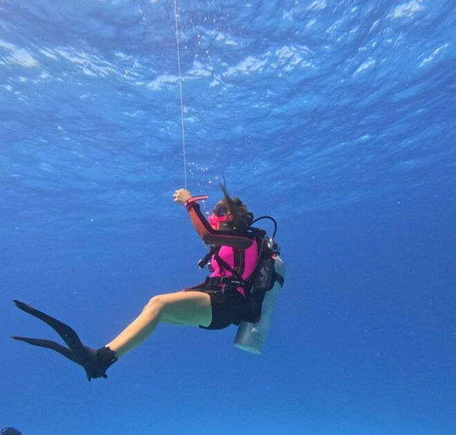 Discover Scuba Diving in Cozumel (Boat) - Meeting Point