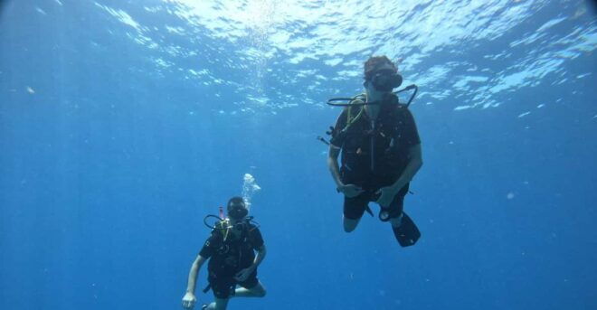 Discover Scuba Diving in Cozumel (By Shore) - Safety and Support