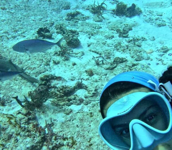 Discover Scuba Diving in Cozumel (By Shore) - Age and Experience Levels
