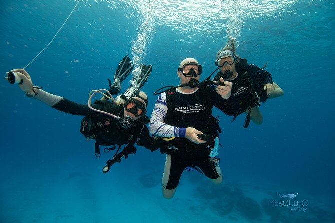 Discover Scuba Diving in Cozumel - How to Book Your Scuba Diving Experience