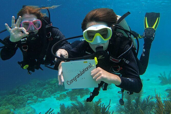 Discover Scuba Diving in Diver's Paradise! - Good To Know