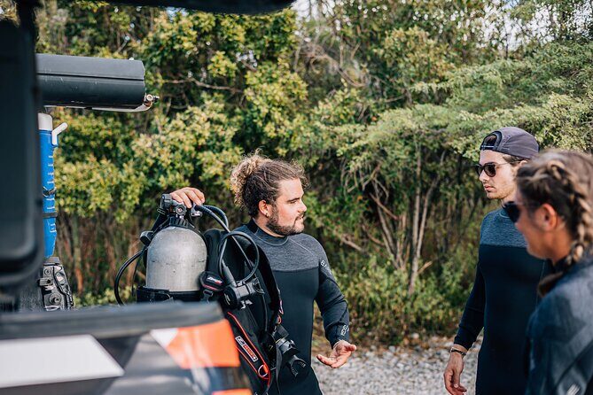 Discover Scuba Diving in Diver's Paradise! - An Overview of the Experience