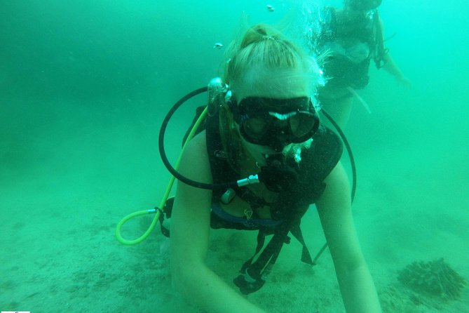 Discover Scuba Diving in Fujirah Dibba - Logistics Details