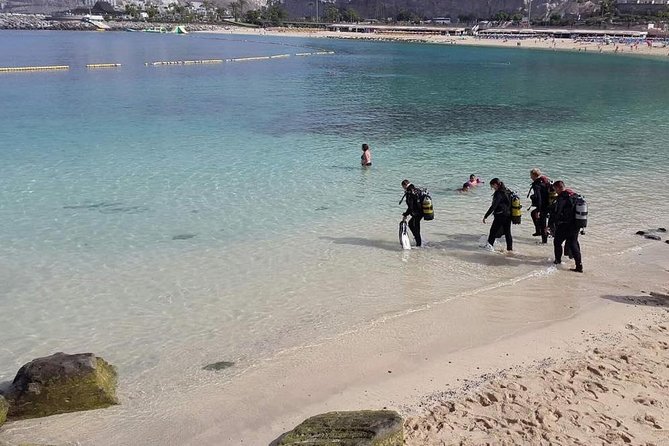Discover Scuba Diving in Gran Canaria With Hotel Pick-Up - The Sum Up: Book Your Scuba Diving Experience Now!